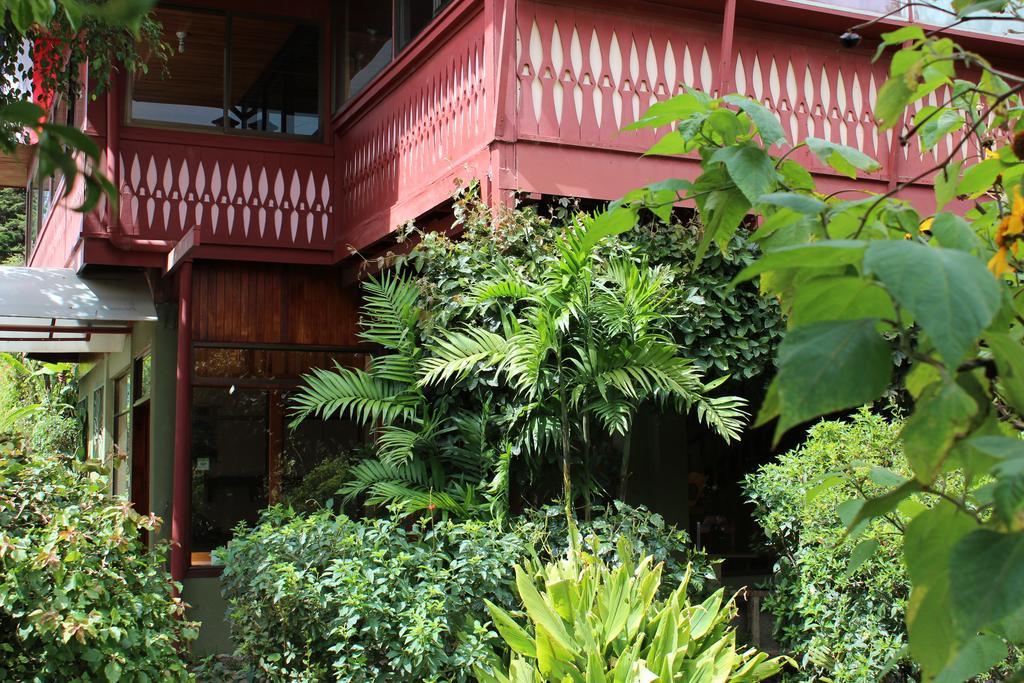 贝尔鸟酒店 Monteverde 外观 照片
